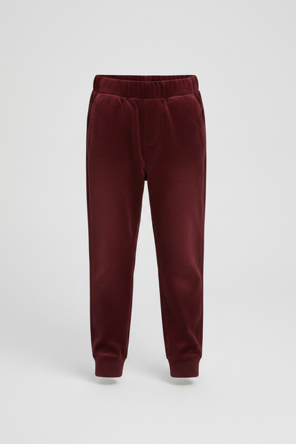 Pantalon Fuseau Velours - Bordeaux - vue 3