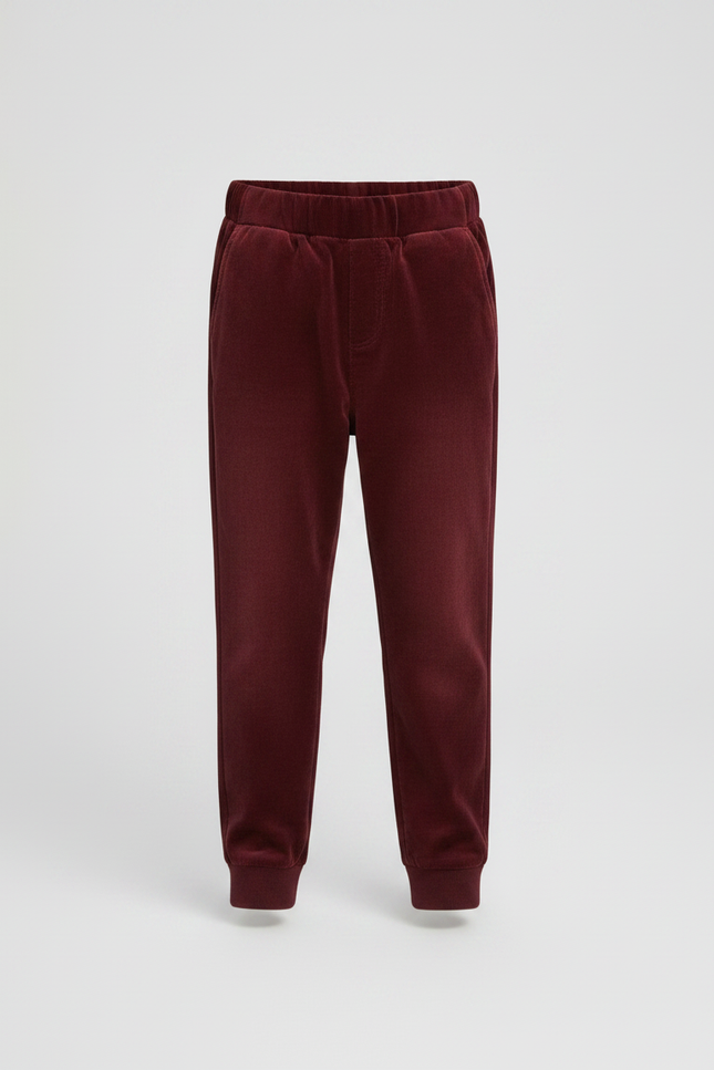 Pantalon Fuseau Velours - Bordeaux - vue 3